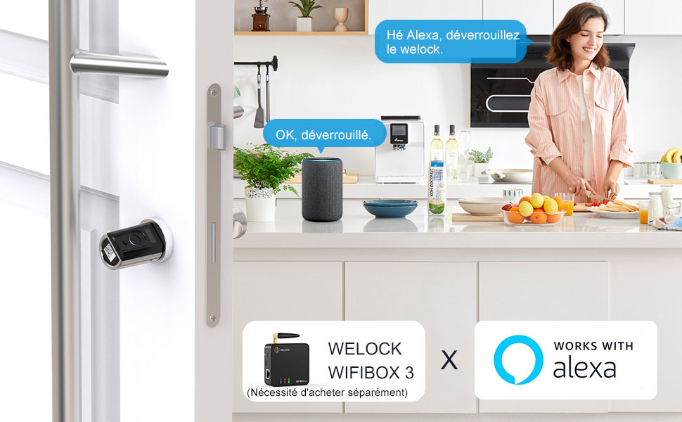 alexa-fr